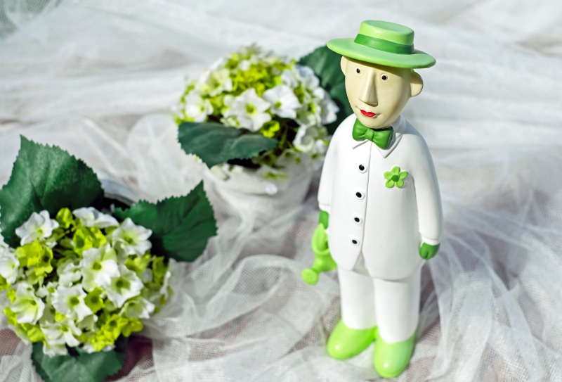 vitrine-EVENOS-min_man-person-flower-green-toy-fig-546529-pxhere.com